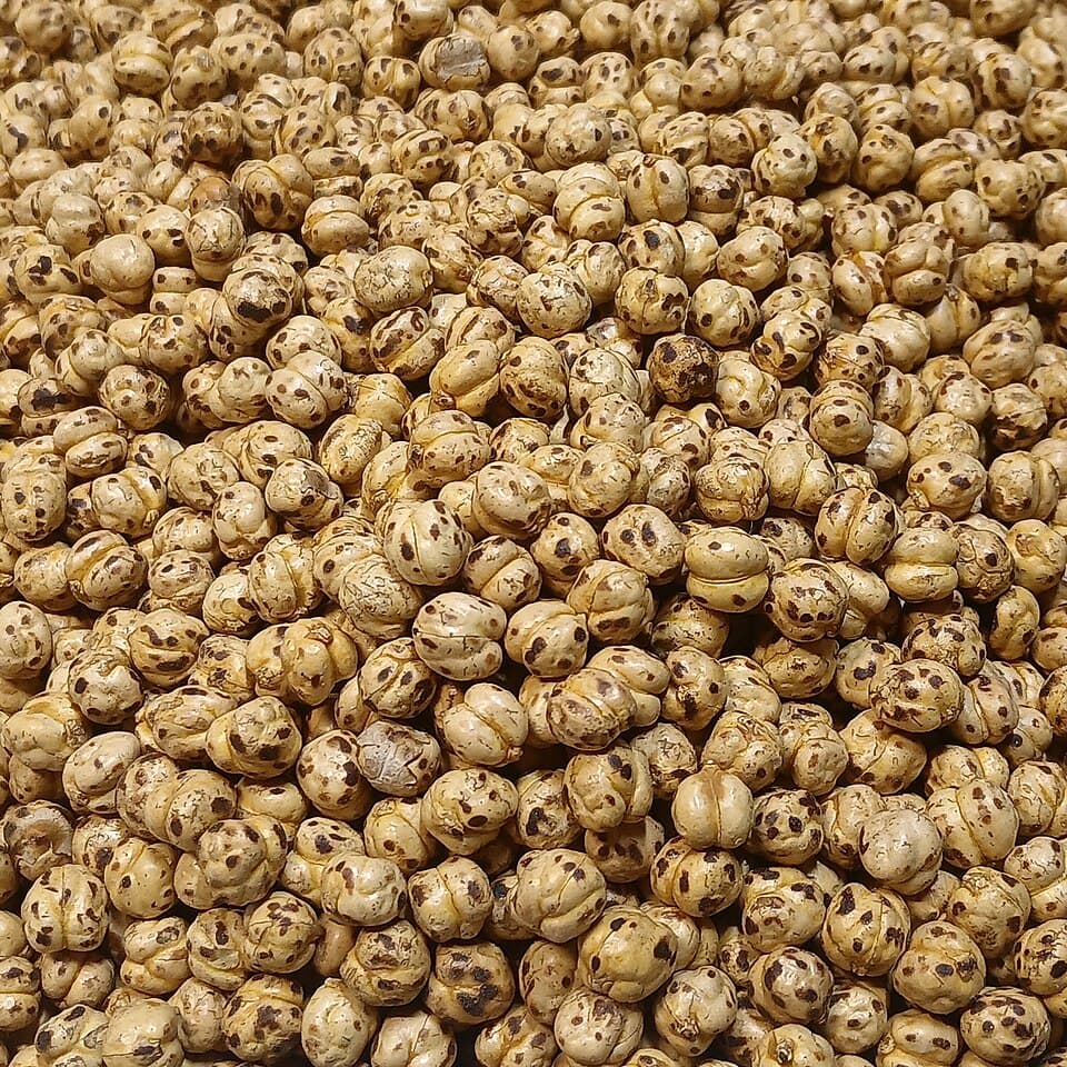 Chana Khila
