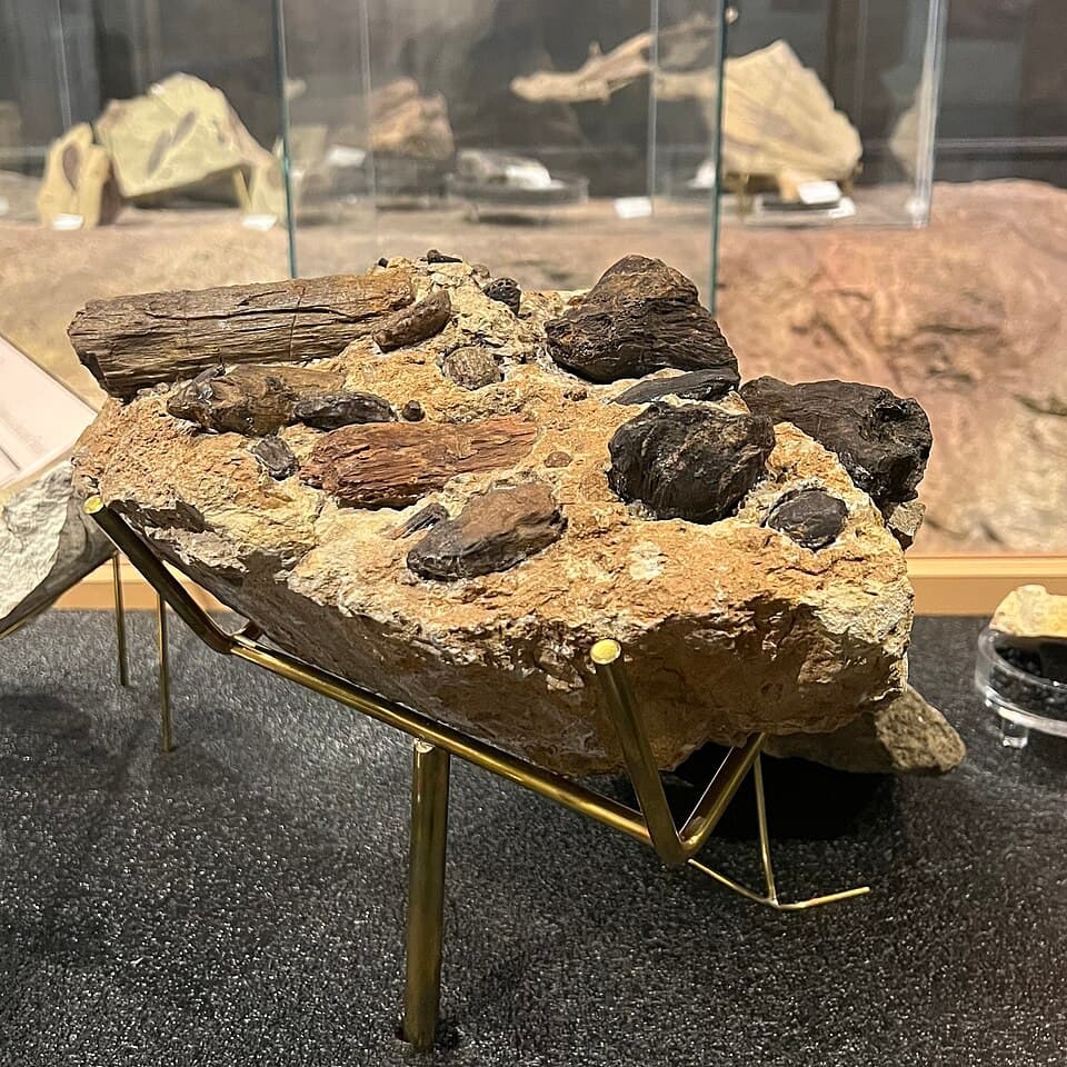 Char Maghaz 250g