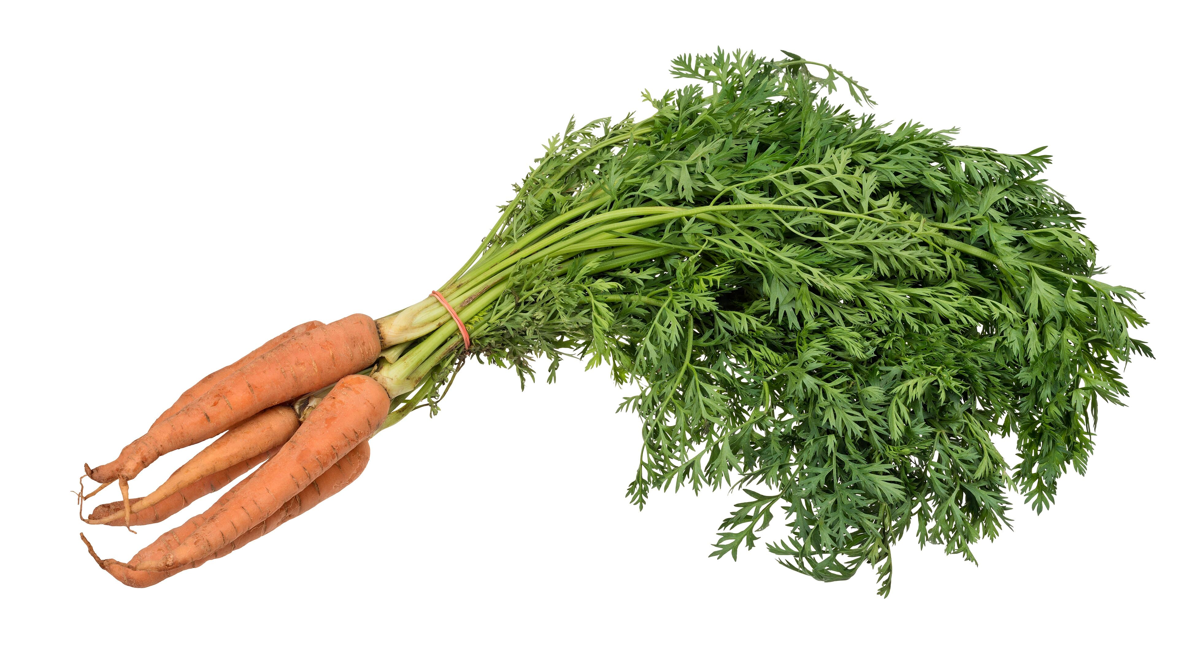 Murabba Gajar (Carrot) 500g