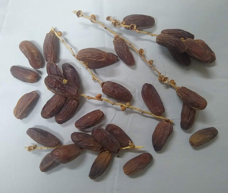 Sogi Sundar Khani